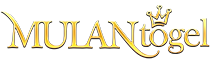 vs-logo-img